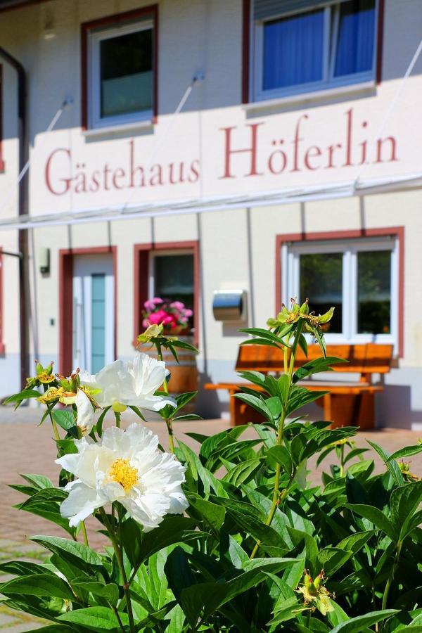 Gaestehaus Hoeferlin Bad Bellingen Ngoại thất bức ảnh